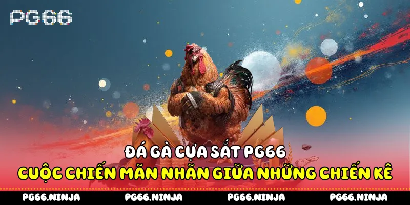 Đá Gà Cựa Sắt PG66 - Cuộc Chiến Mãn Nhãn Giữa Những Chiến Kê