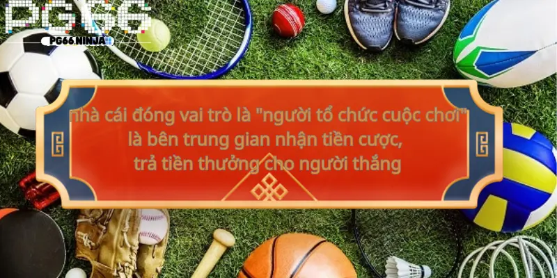 playfinacasino-au.biz__Nhà cái cá cược là gì